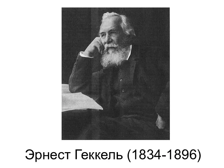 Эрнест Геккель (1834-1896)‏