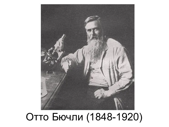 Отто Бючли (1848-1920)‏