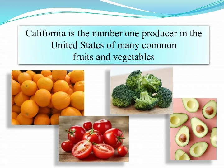 California is the number one producer in the United States of many common fruits and vegetables