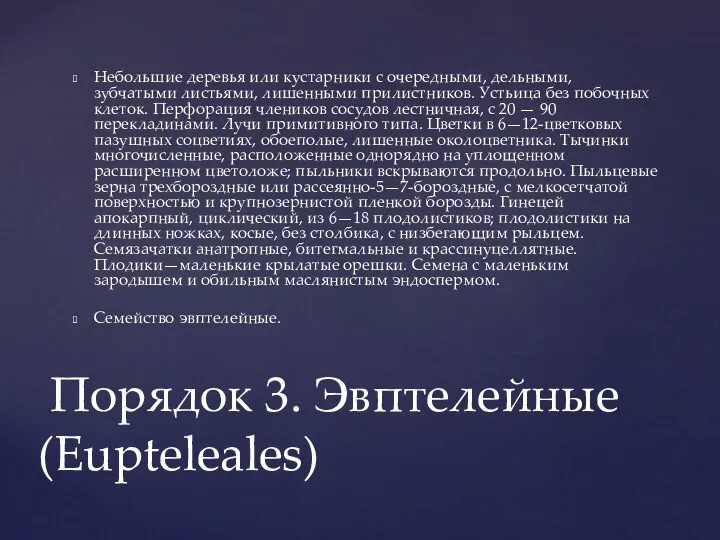 Небольшие деревья или кустарники с очередными, дельными, зубчатыми листьями, лишенными