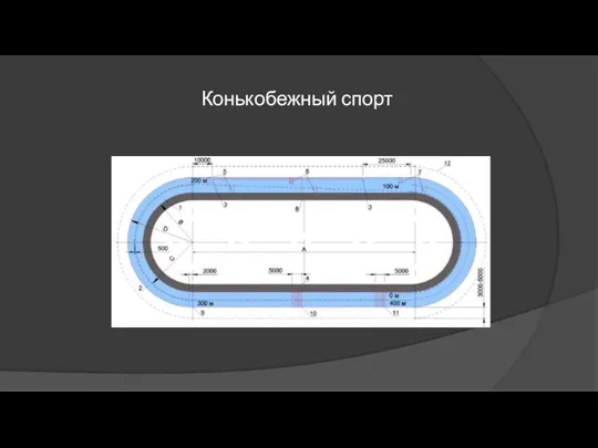 Конькобежный спорт