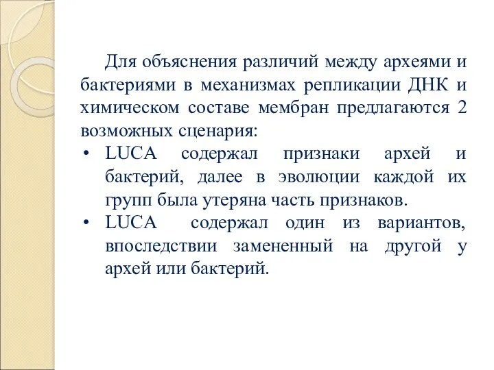 Для объяснения различий между археями и бактериями в механизмах репликации