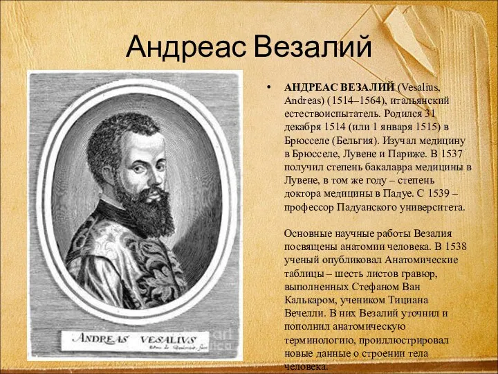 Андреас Везалий АНДРЕАС ВЕЗАЛИЙ (Vesalius, Andreas) (1514–1564), итальянский естествоиспытатель. Родился