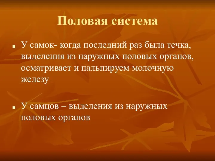 Половая система У самок- когда последний раз была течка, выделения