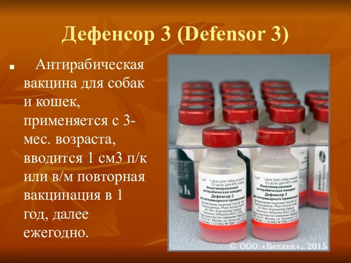 Дефенсор 3 (Defensor 3) Антирабическая вакцина для собак и кошек,