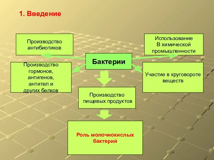 1. Введение Бактерии Использование В химической промышленности Производство пищевых продуктов