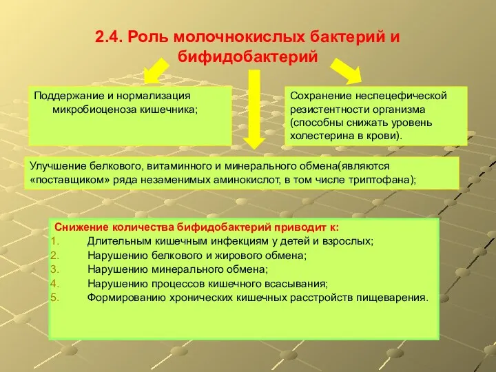 2.4. Роль молочнокислых бактерий и бифидобактерий Снижение количества бифидобактерий приводит