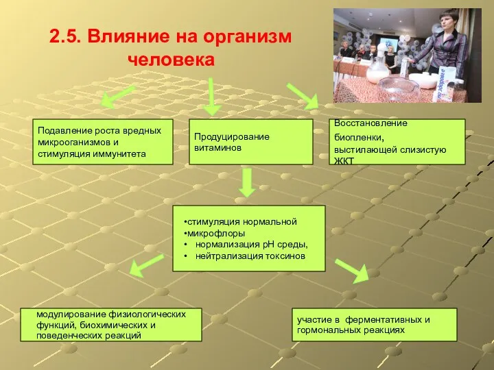 2.5. Влияние на организм человека стимуляция нормальной микрофлоры нормализация рH