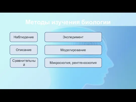 Методы изучения биологии Наблюдение Эксперимент Описание Сравнительный Микроскопия, рентгеноскопия Моделирование