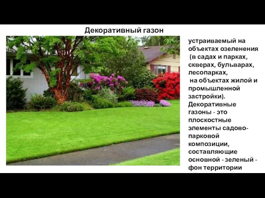 Декоративный газон устраиваемый на объектах озеленения (в садах и парках,