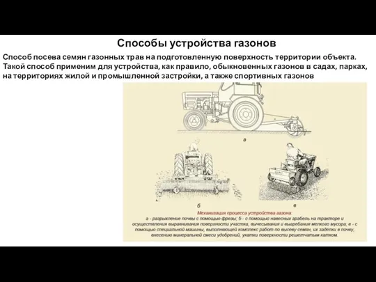 Способы устройства газонов Способ посева семян газонных трав на подготовленную