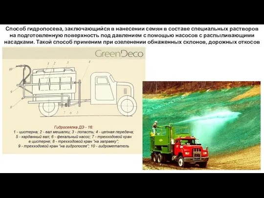 Способ гидропосева, заключающийся в нанесении семян в составе специальных растворов