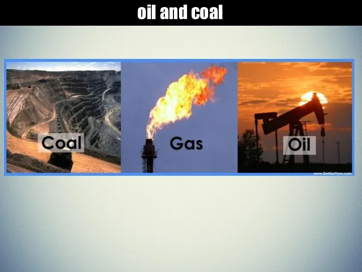oil and coal