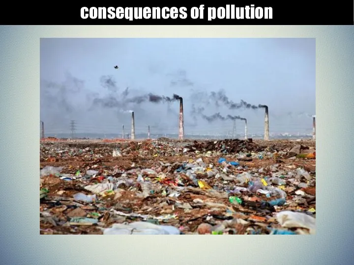 consequences of pollution