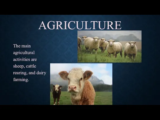 AGRICULTURE The main agricultural activities are sheep, cattle rearing, and dairy farming.