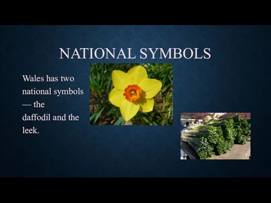 NATIONAL SYMBOLS Wales has two national symbols — the daffodil and the leek.