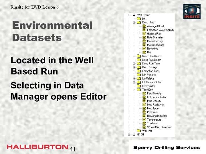 Environmental Datasets Located in the Well Based Run Selecting in Data Manager opens Editor