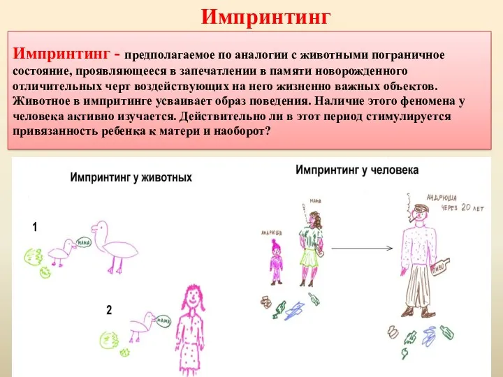 Импринтинг - предполагаемое по аналогии с животными пограничное состояние, проявляющееся