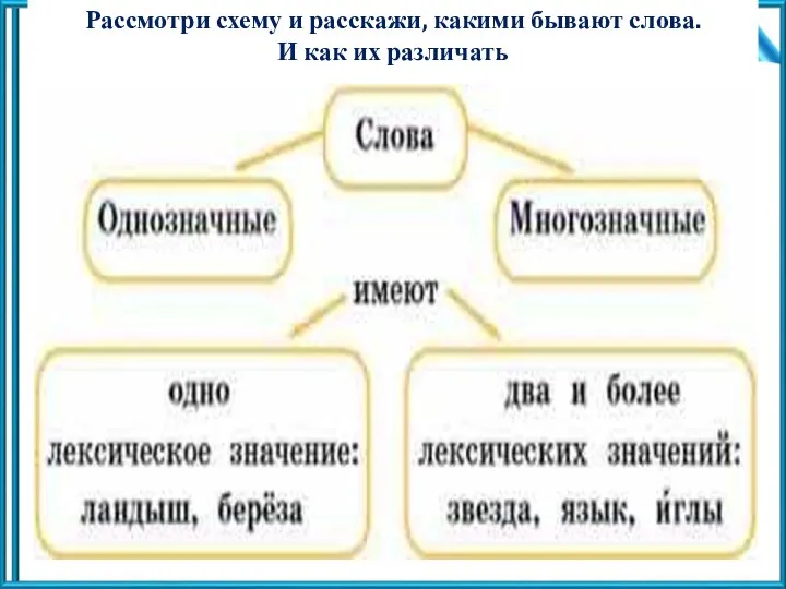 Рассмотри схему и расскажи, какими бывают слова. И как их различать