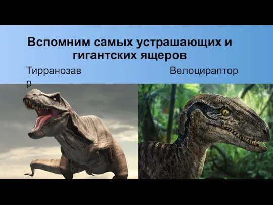 Вспомним самых устрашающих и гигантских ящеров Тирранозавр Велоцираптор