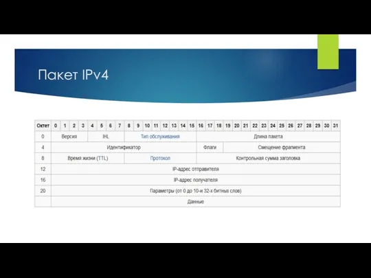 Пакет IPv4