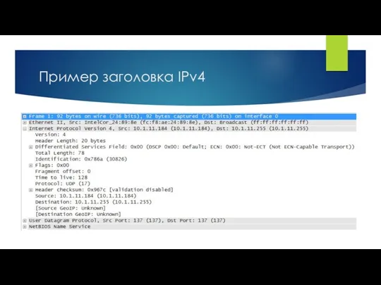 Пример заголовка IPv4