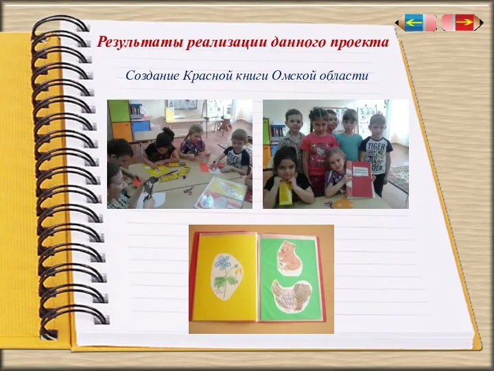 Создание Красной книги Омской области Результаты реализации данного проекта