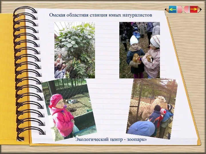 Омская областная станция юных натуралистов Экологический центр - зоопарк»