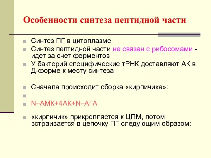 Особенности синтеза пептидной части Синтез ПГ в цитоплазме Синтез пептидной