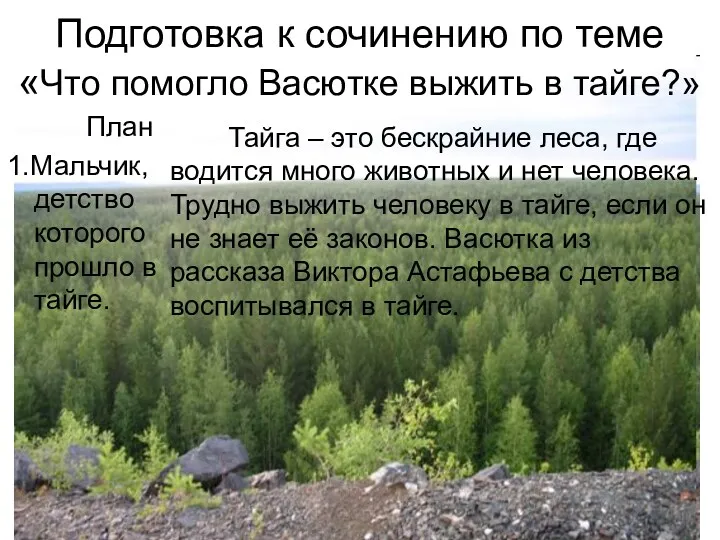 Подготовка к сочинению по теме «Что помогло Васютке выжить в