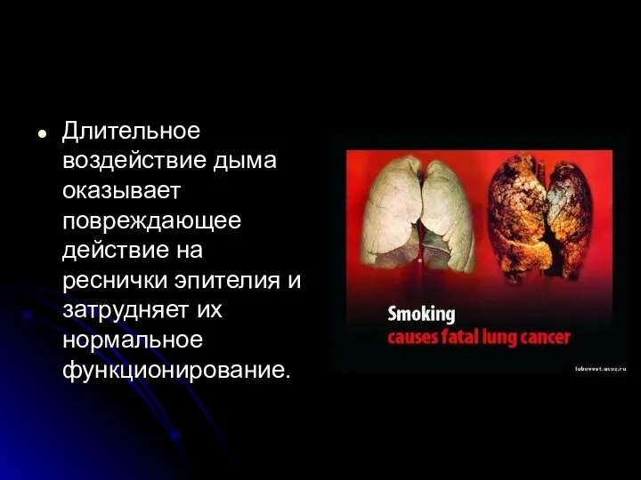 Длительное воздействие дыма оказывает повреждающее действие на реснички эпителия и затрудняет их нормальное функционирование.