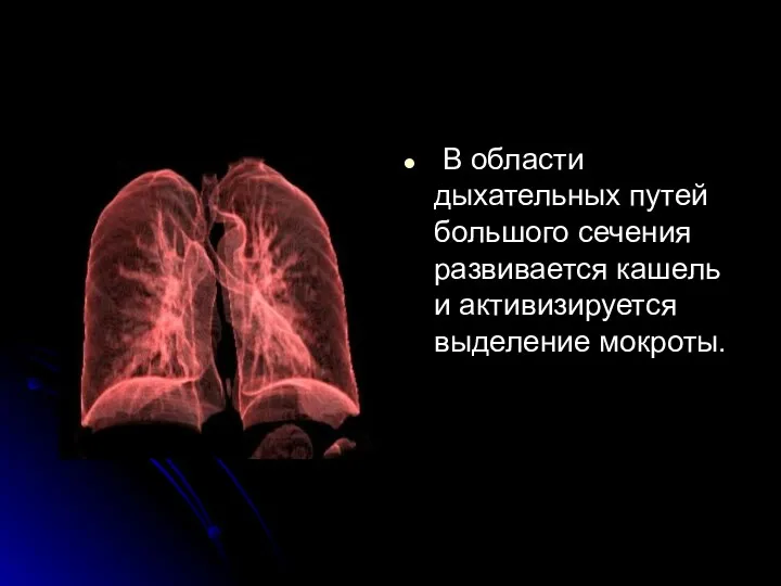 В области дыхательных путей большого сечения развивается кашель и активизируется выделение мокроты.