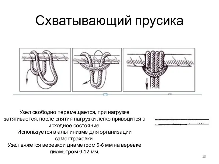 Схватывающий прусика Узел свободно перемещается, при нагрузке затягивается, после снятия