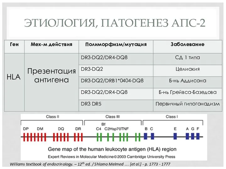 ЭТИОЛОГИЯ, ПАТОГЕНЕЗ АПС-2 Williams textbook of endocrinology. – 12th ed.