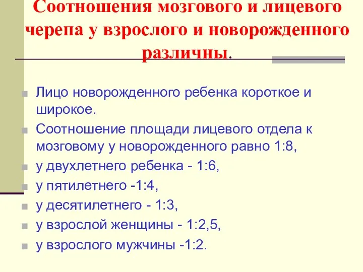 Соотношения мозгового и лицевого черепа у взрослого и новорожденного различны.