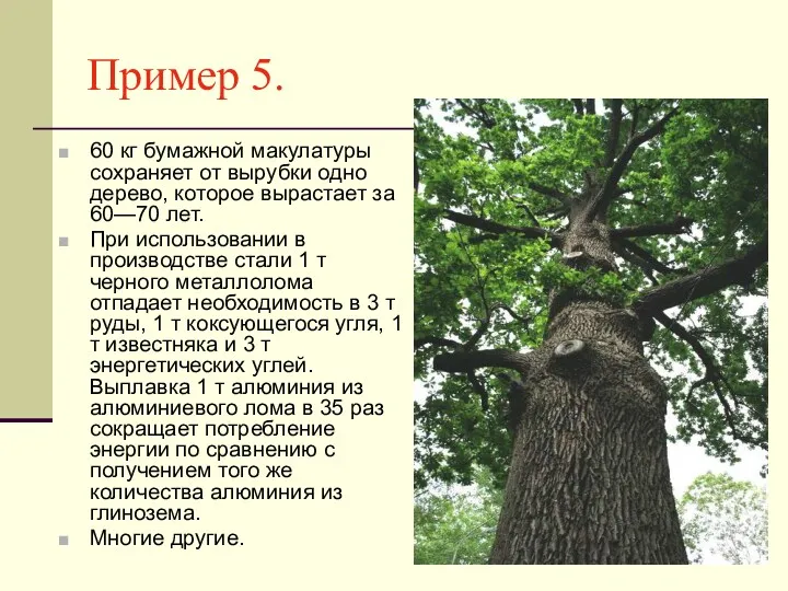 Пример 5. 60 кг бумажной макулатуры сохраняет от вырубки одно