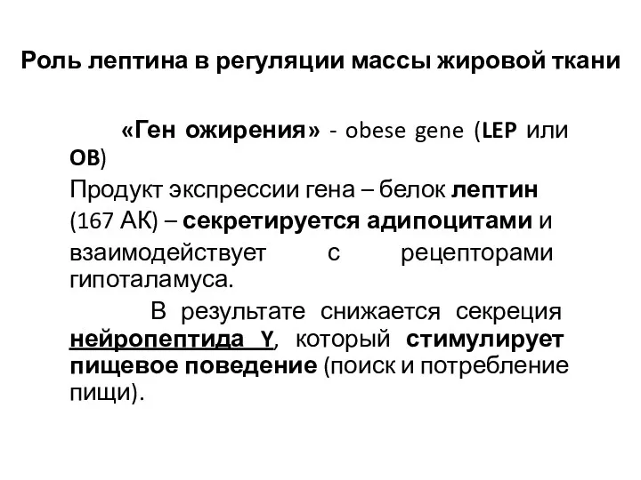 Роль лептина в регуляции массы жировой ткани «Ген ожирения» - obese gene (LEP