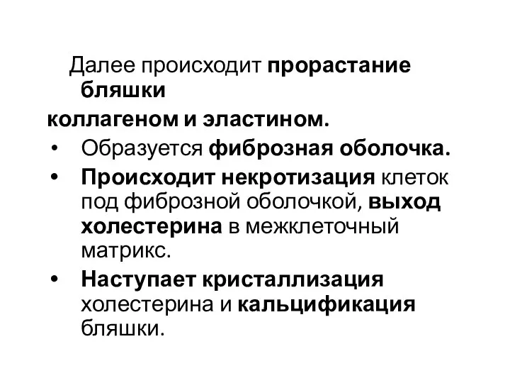 Далее происходит прорастание бляшки коллагеном и эластином. Образуется фиброзная оболочка.