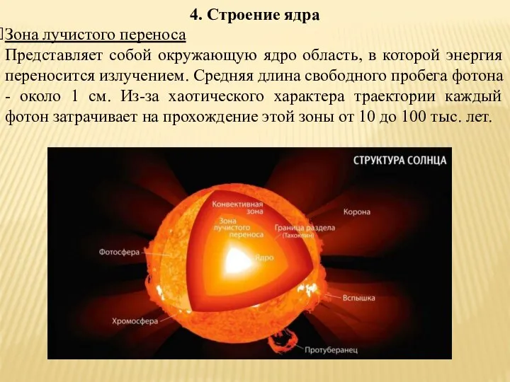 4. Строение ядра Зона лучистого переноса Представляет собой окружающую ядро