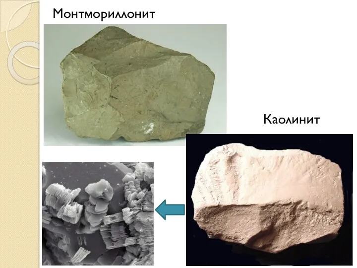 Монтмориллонит Каолинит