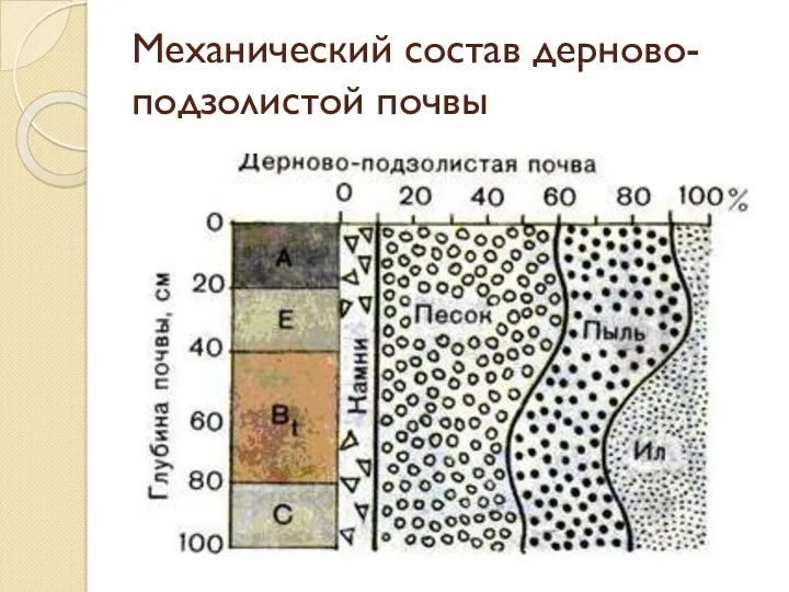 Механический состав дерново-подзолистой почвы