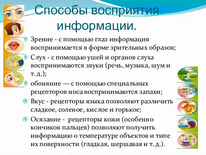 Способы восприятия информации. Зрение - с помощью глаз информация воспринимается