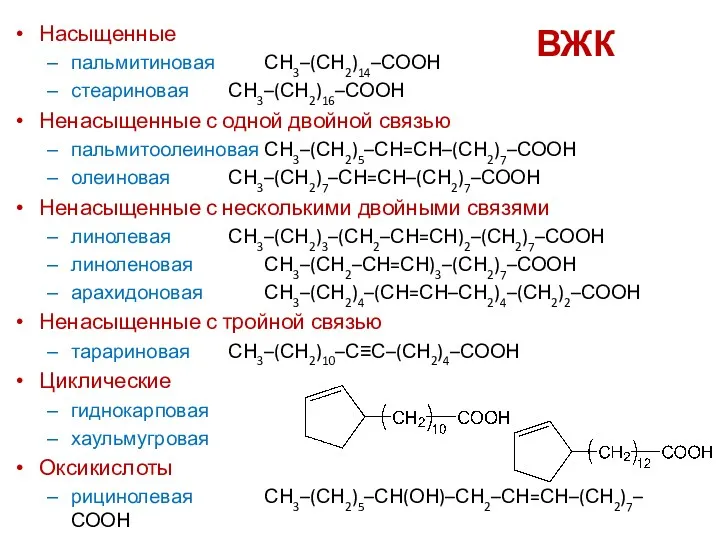 ВЖК Насыщенные пальмитиновая СН3–(СН2)14–СООН стеариновая СН3–(СН2)16–СООН Ненасыщенные с одной двойной