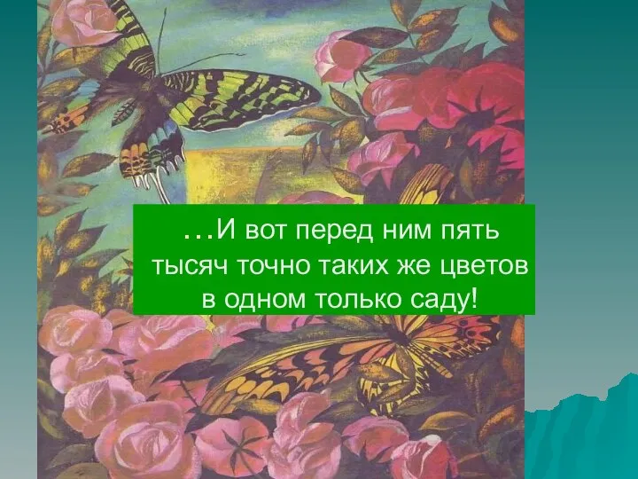 …И вот перед ним пять тысяч точно таких же цветов в одном только саду!