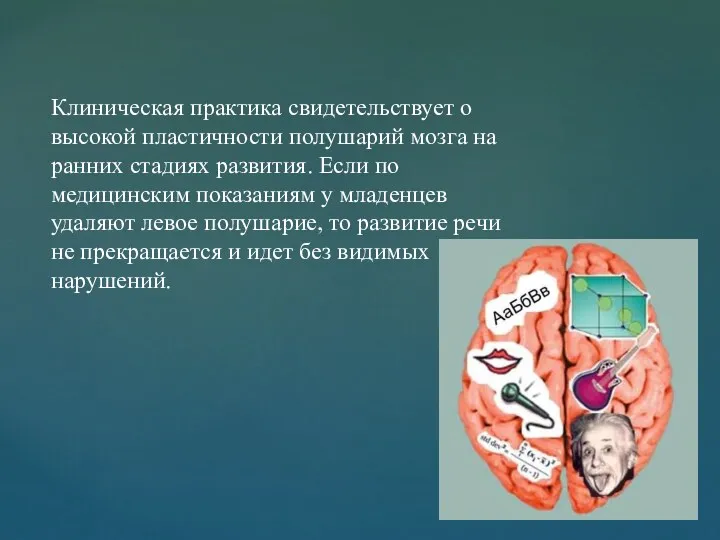 Клиническая практика свидетельствует о высокой пластичности полушарий мозга на ранних