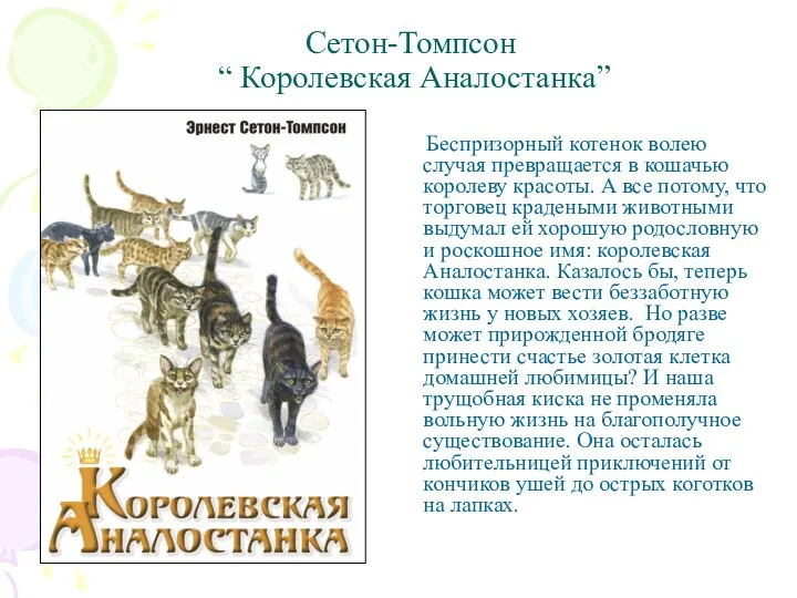 Сетон-Томпсон “ Королевская Аналостанка” Беспризорный котенок волею случая превращается в