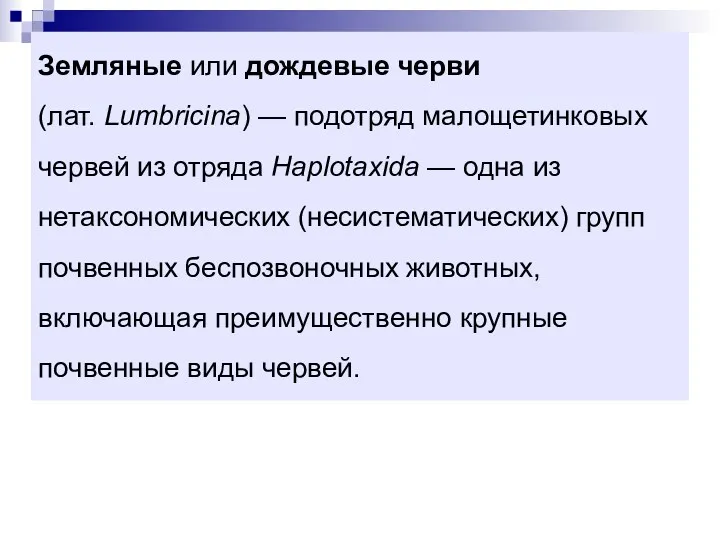 Земляные или дождевые черви (лат. Lumbricina) — подотряд малощетинковых червей