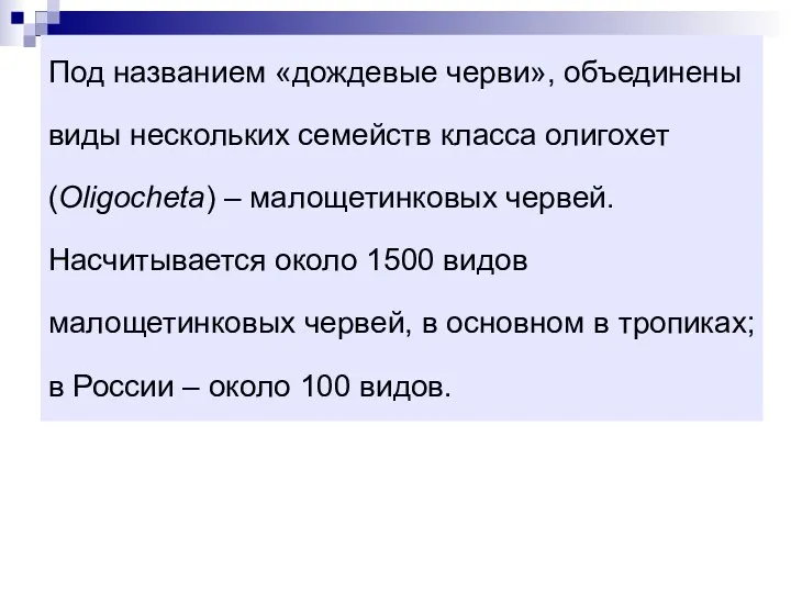 Под названием «дождевые черви», объединены виды нескольких семейств класса олигохет