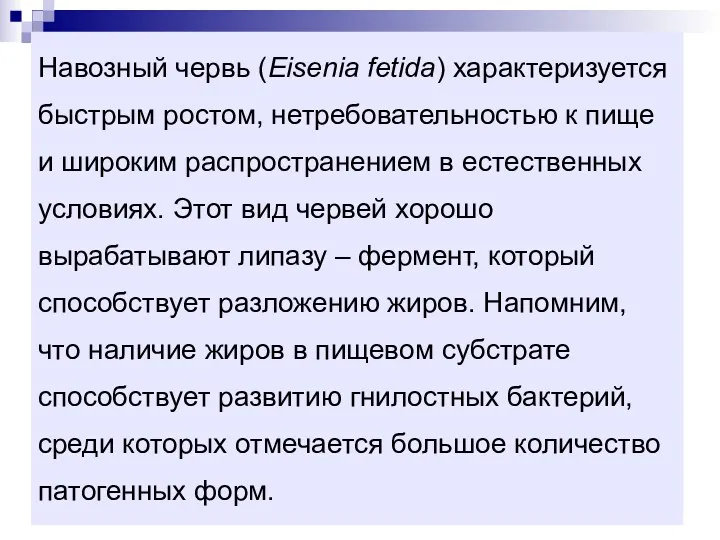 Навозный червь (Eisenia fetida) характеризуется быстрым ростом, нетребовательностью к пище