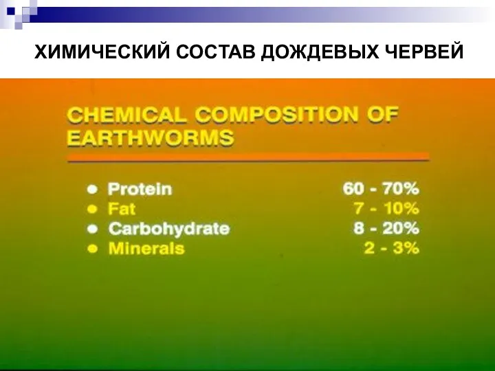 ХИМИЧЕСКИЙ СОСТАВ ДОЖДЕВЫХ ЧЕРВЕЙ